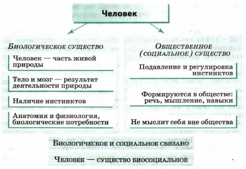 Реферат: Антропосоциогенез в философии биологическое и социальное в человеке